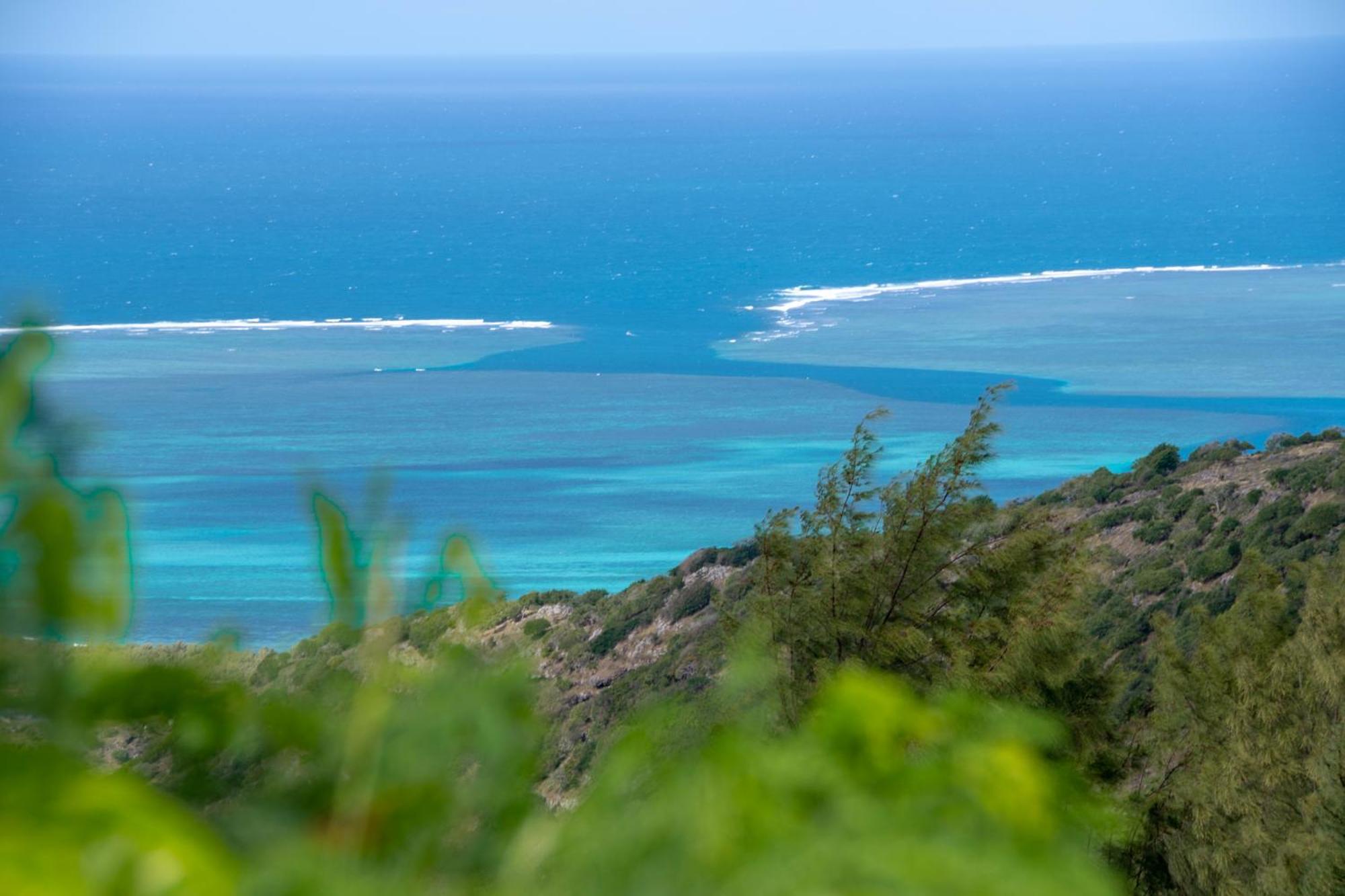 Bed and Breakfast Le Tropical Chez Jeannette Saint Gabriel Esterno foto